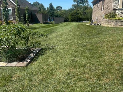 Lawn care service in Fairborn, 45324