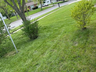 Lawn care service in Merrillville, 46410