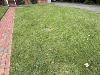 Lawn care service in Falls Church, 22046