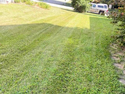 Lawn care service in Florence, 41042
