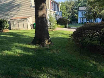 Lawn care service in Columbia, 21044