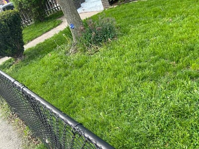 Lawn care service in Indianapolis, 46205