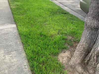 Lawn care service in Santa Ana, 92704