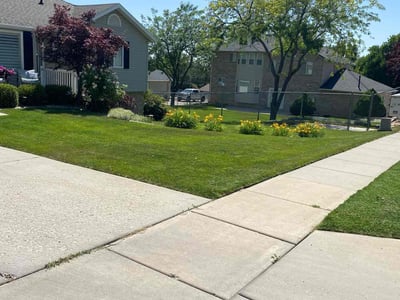 Lawn care service in North Ogden, 84414
