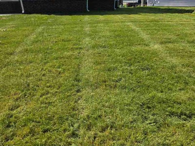 Lawn care service in Fishers, 46037