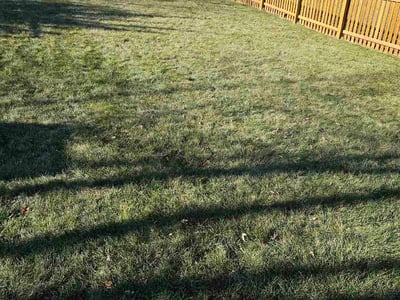 Lawn care service in Olathe, 66062