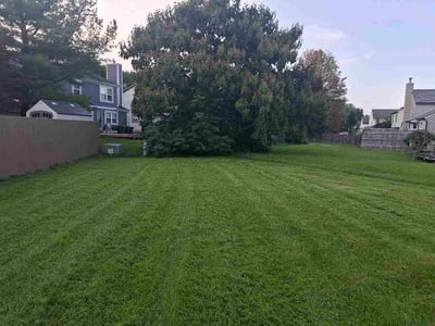 Lawn care service in Worthington, 43085