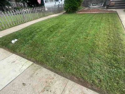 Lawn care service in Drexel Hill, 19026
