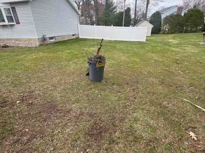 Lawn care service in Niskayuna, 12309