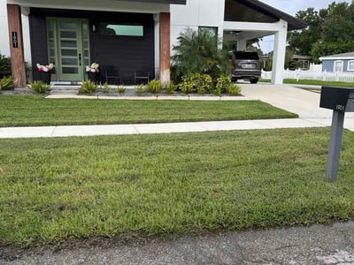 Lawn care service in Tampa, 33607