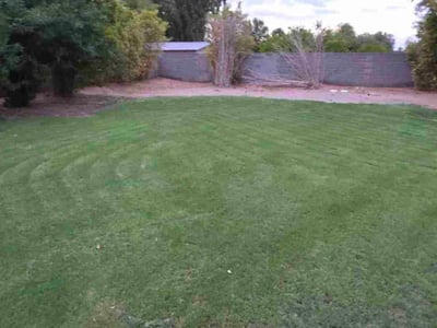 Lawn care service in Gilbert, 85295