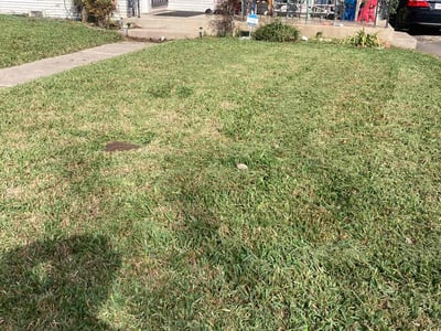 Lawn care service in San Antonio, 78202