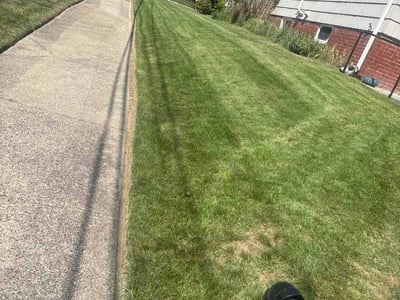 Lawn care service in Providence, 02908