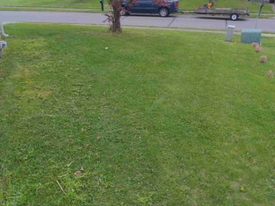 Lawn care service in Hebron, 41048