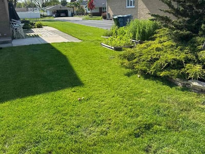 Lawn care service in Oak Lawn, 60453