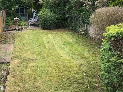 Lawn care service in Kountze, 77625