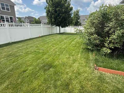 Lawn care service in Wayne County, 48188