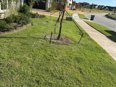 Lawn care service in Rockwall, 75032