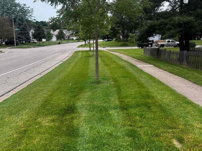 Lawn care service in Crystal Lake, 60014