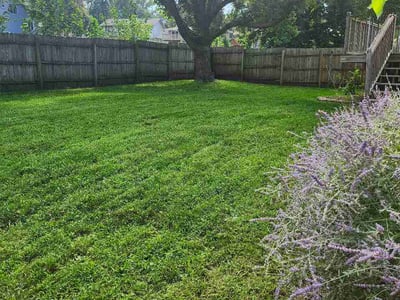 Lawn care service in Omaha, 68137