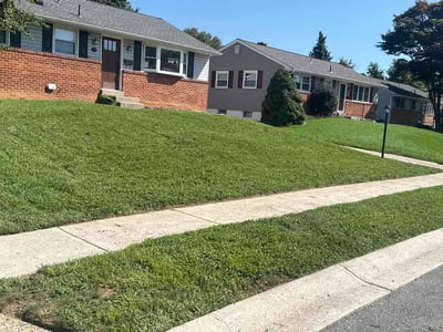 Lawn care service in Wilmington, 19808