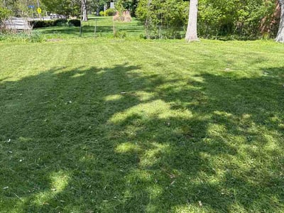 Lawn care service in Euclid, 44117