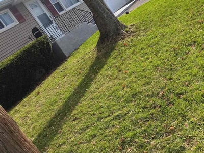 Lawn care service in Syracuse, 13206