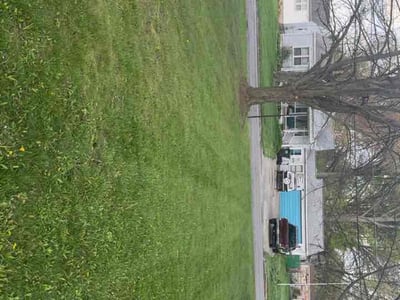 Lawn care service in Youngstown, 44515