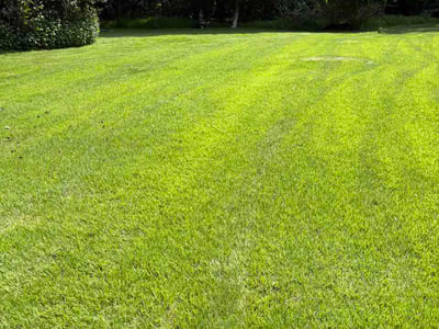 Lawn care service in La Plata, 20646