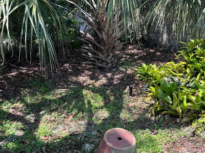 Lawn care service in Winter Park, 32792