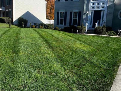 Lawn care service in Havre de Grace, 21078