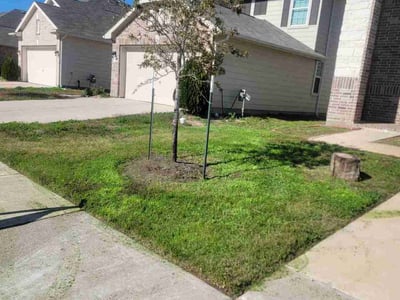 Lawn care service in Houston, 77083