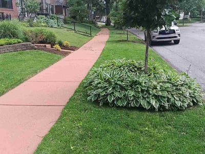 Lawn care service in St. Louis, 63109