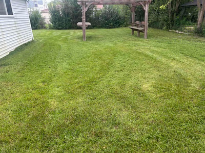 Lawn care service in Milwaukee, 53218