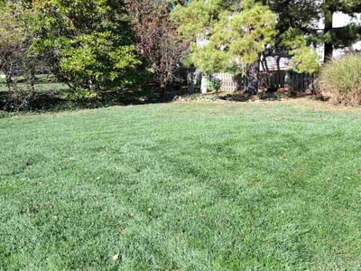 Lawn care service in Westerville, 43082