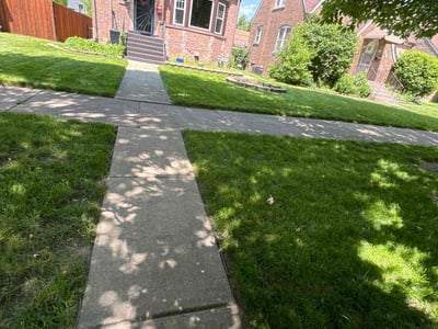 Lawn care service in Oak Lawn, 60453