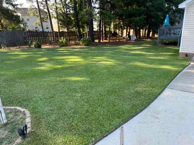 Lawn care service in Chapin, 29036