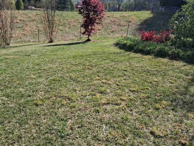 Lawn care service in Leicester, 28748