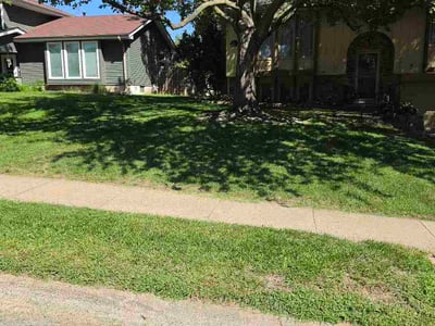 Lawn care service in Bellevue, 68123