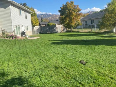 Lawn care service in Woods Cross, 84087