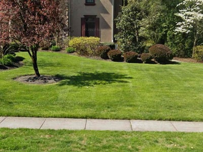 Lawn care service in Moorestown, 08057