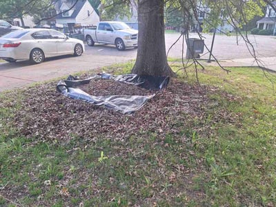 Lawn care service in Rock Hill, 29730