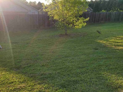 Lawn care service in Shreveport, 71107