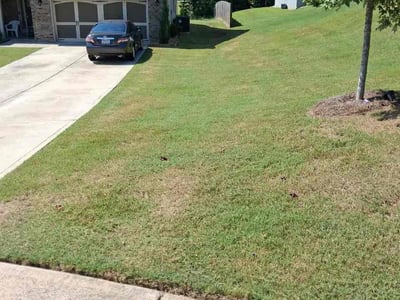 Lawn care service in Bremen, 30110
