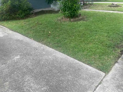 Lawn care service in Jefferson, 70121