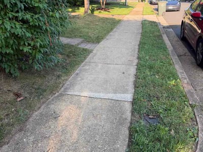 Lawn care service in Arlington, 22207