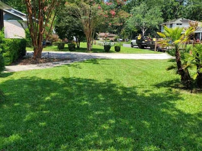 Lawn care service in Charleston, 29414