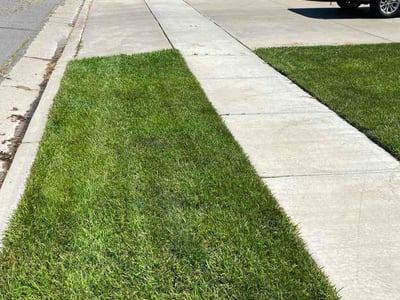 Lawn care service in Kaysville, 84037