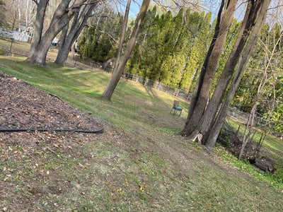 Lawn care service in , 