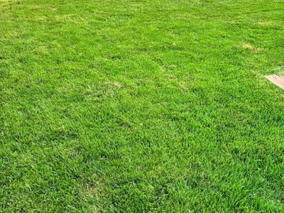 Lawn care service in Georgetown, 78628